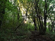 12 Sul sent. 537 il sole non ha ancora asciugato la fanghiglia